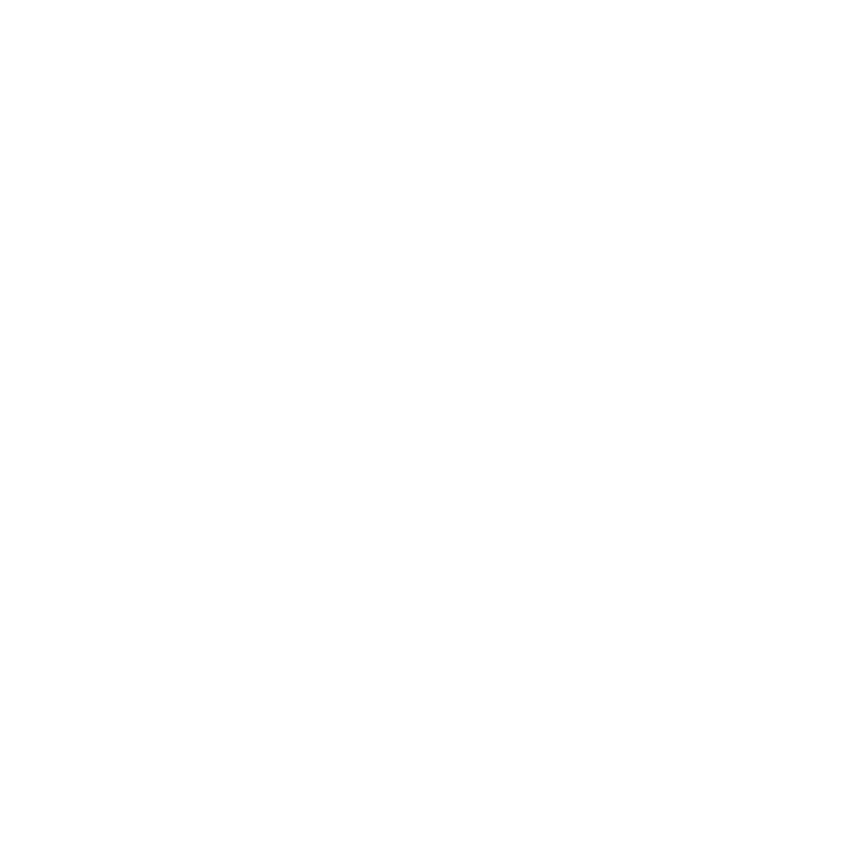 dizuo1
