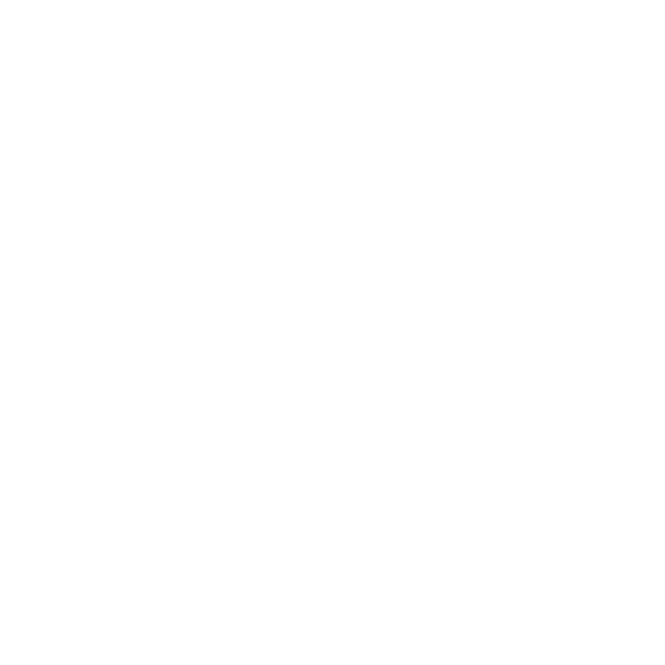 dizuo2